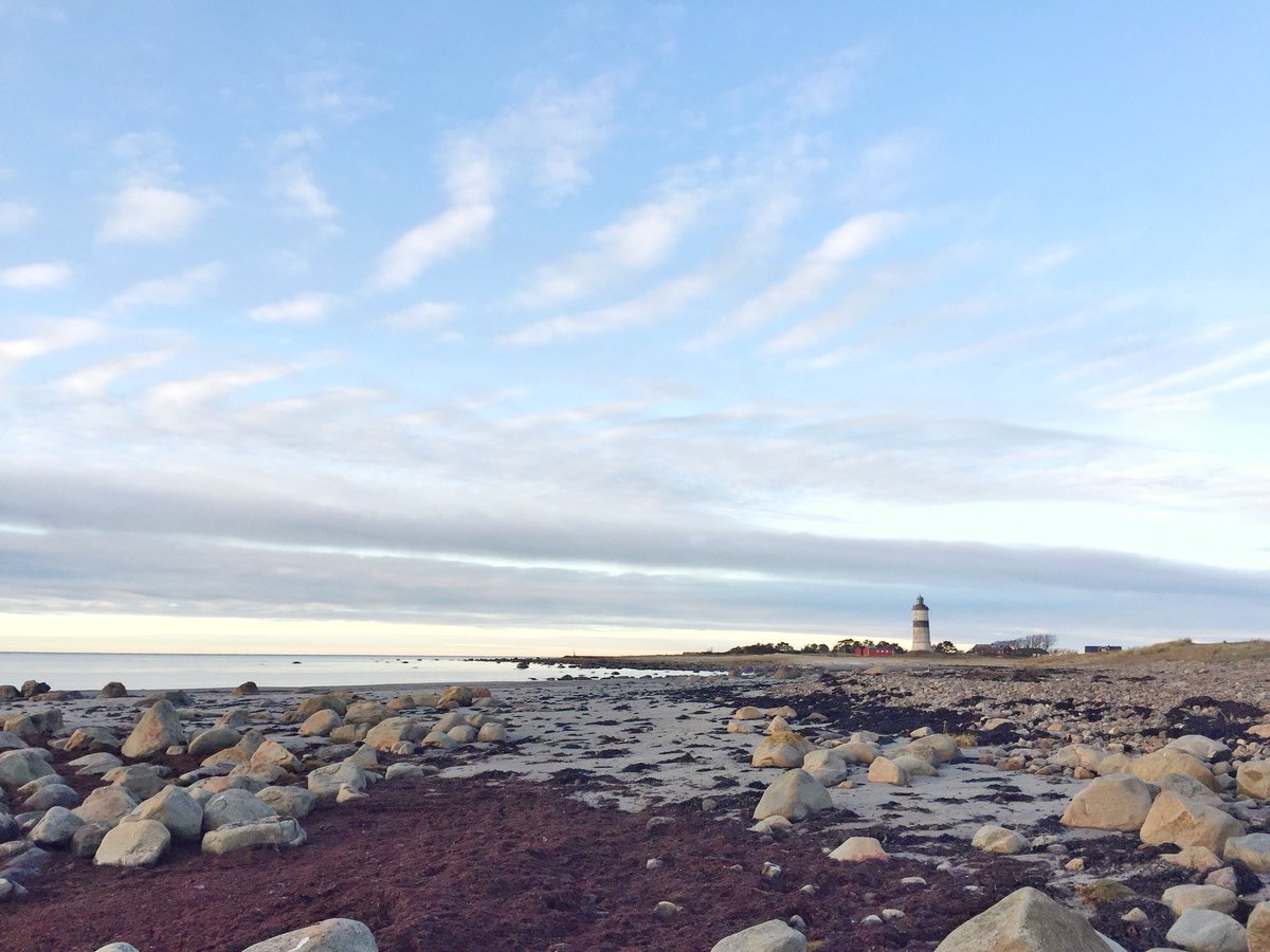 TngeFyr's tweet photo. Almost like summer 💙
#lighthouse #paradise #lighthousewalk #lighthouselove #morupstånge #morupstångelighthouse #morupstångefyr #morupstångenaturreservat #halland #sweden https://t.co/3k7o2E7SP1