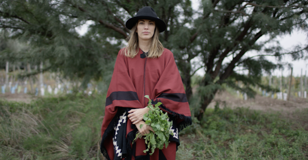 WineIndustry's tweet photo. It Starts with Wine, a @WineEnthusiast Media Original Production, Premiers on Amazon Prime Video January 4th
https://t.co/pxTnYOuPYd https://t.co/Kpj5176GBS