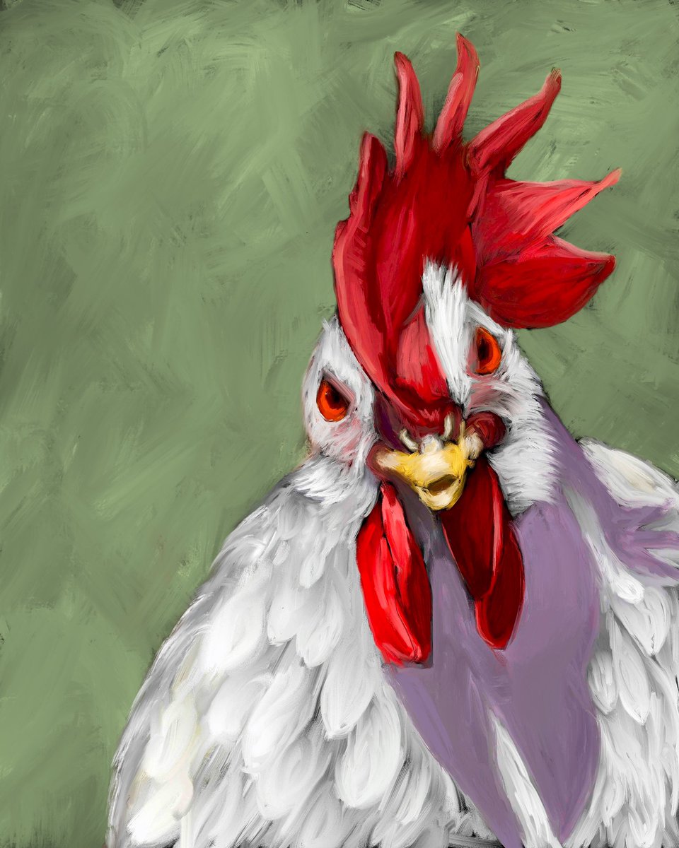 This is a digital portrait of Dualla, a rescue bird who now lives in New York her humans. I painted it using the Corel Painter app and a stylus.