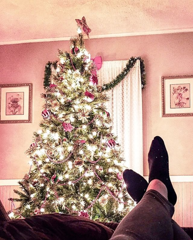 EarlesGoneWild's tweet photo. I guess itโs probably time to put the joy of Christmas back in the boxes... ๐โ
โ
โ
#latergram #travelblogger #exploretocreate #adventure #adventureon #visualsoflife #fun #instagood #roadtrip #travel #travelgram #wanderlust #photosinbetween #letskeepโฆ https://t.co/I0iUjpScKh https://t.co/P6fAv7DJVb