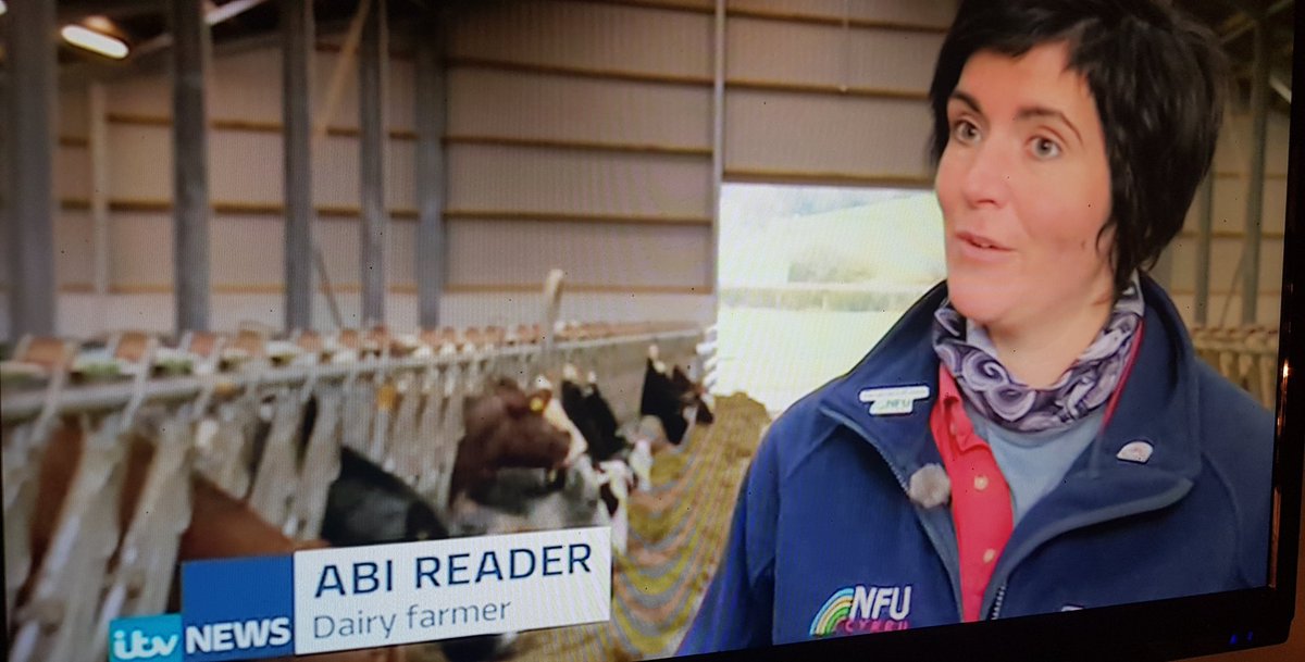 rhianelinor's tweet photo. .@AbiReader has just done an outstanding interview on @ITVWales tonight. Promoting the high animal welfare and environmental standards of British farming 👏 #GoAbi #WeAreWelshFarming #NFUCymru https://t.co/iCm5IXKazZ