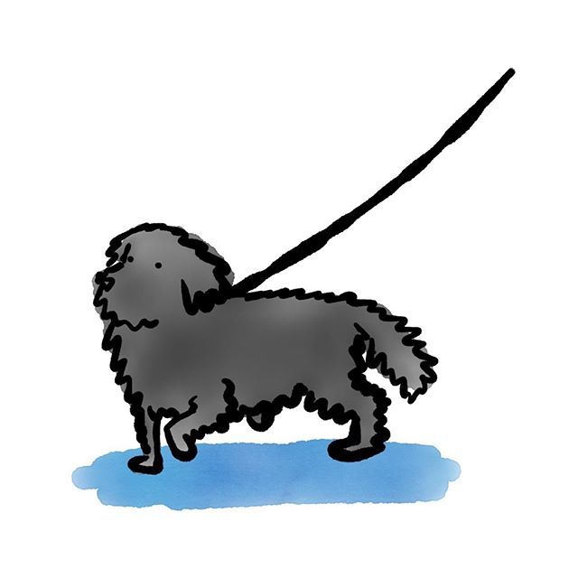 Big shaggy lad - 11:09am Chalfont St. giles