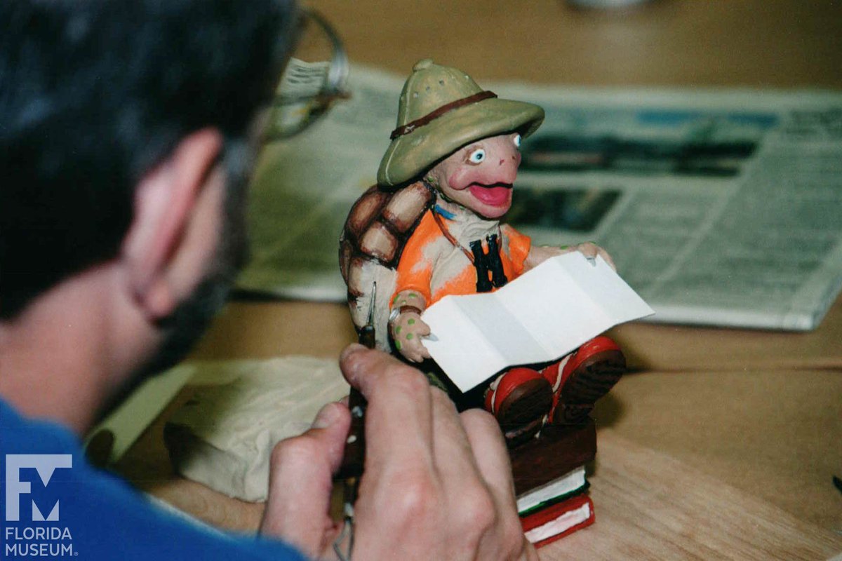 turtle concept figure