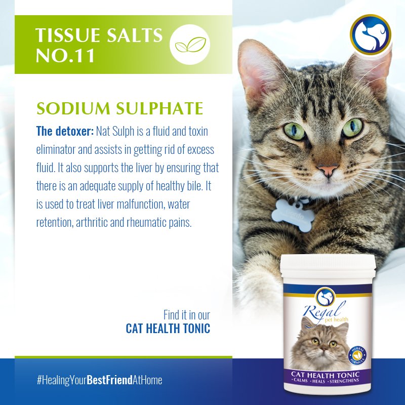 regalpethealth's tweet photo. #TissueSalt #SodiumSulphate #CatHealthTonic https://t.co/vDCwKHg9IO https://t.co/bVtLkddvyr
