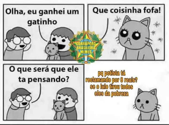 Corrupção Brasileira Memes - CBMστο X: De Cabelo blindado para a