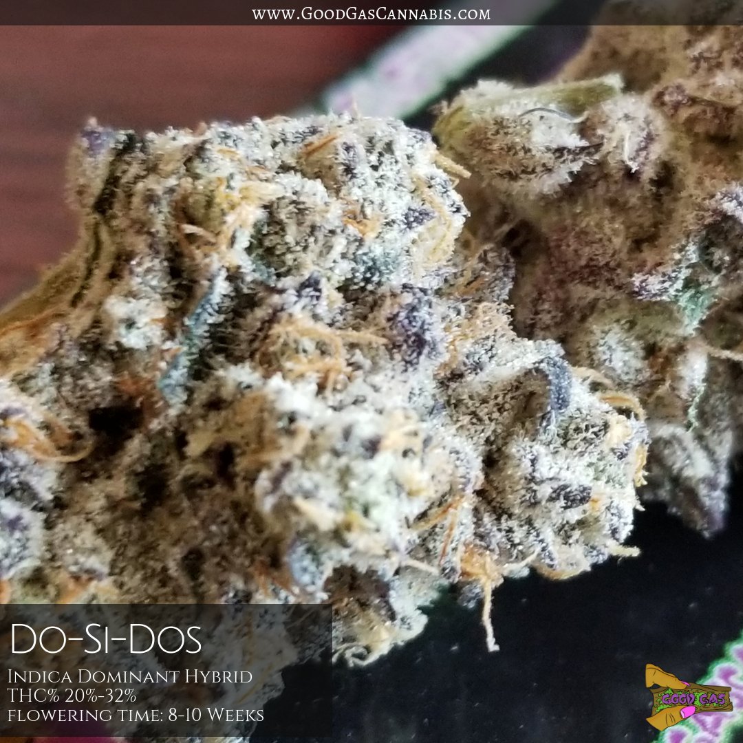 GoodGasCannabis's tweet photo. Effects from the strain were felt almost instantaneous and felt as if the weight of the world had been lifted from my shoulders after a long day. The taste was a sweet almost cookie like taste with a hint of mint. 
#GoodGasCannabis #GoodGas #Cannabis #CannabisCommunity https://t.co/gh3fIlANRS
