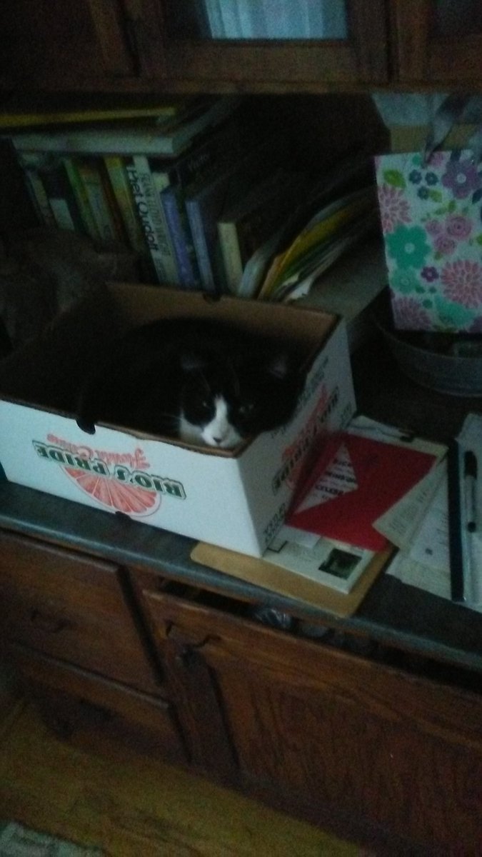 Jon Camarena (@jon_camarena) on Twitter photo 