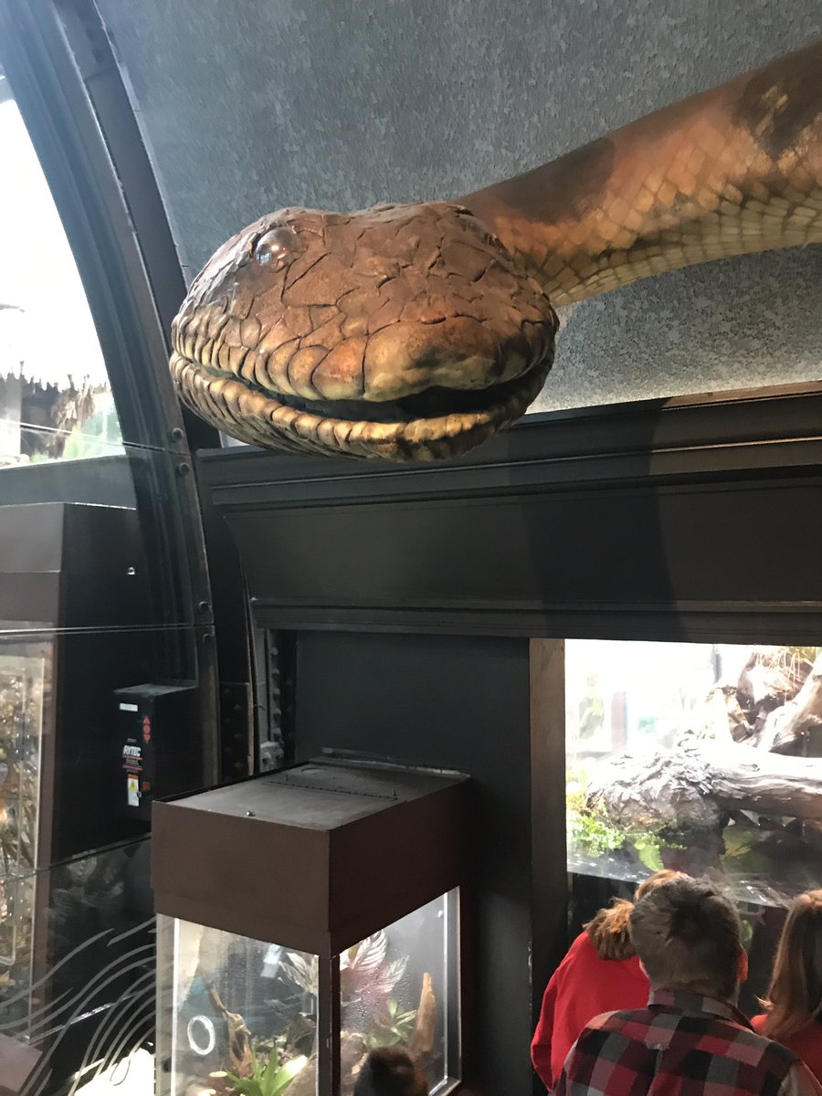 Great experiences <a href="/shedd_aquarium/">Shedd Aquarium</a> #21Learns <a href="/ccsd21/">Community Consolidated School District 21</a> Thanks for sponsoring our families to come today! #FamilyLearningProgram