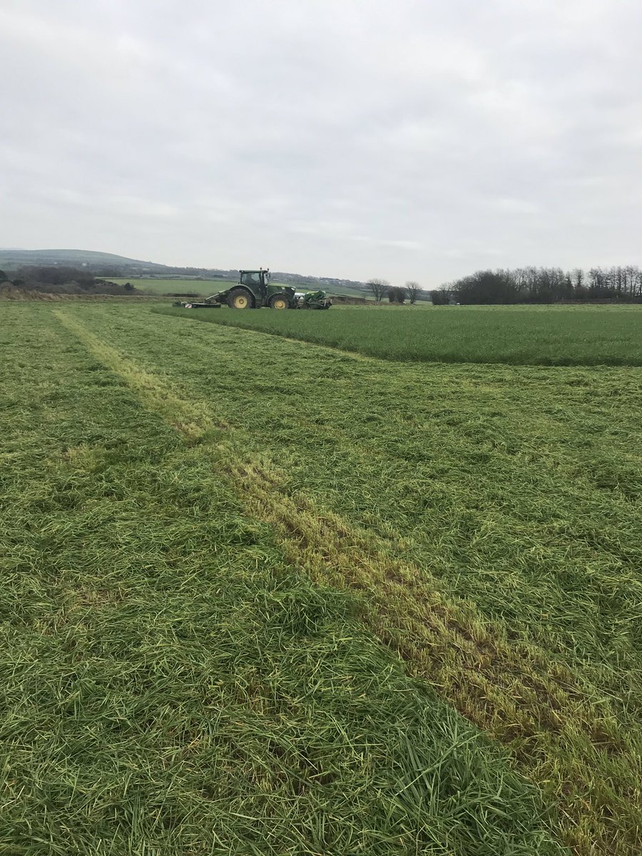 paulraymond.trenewyd tweet media