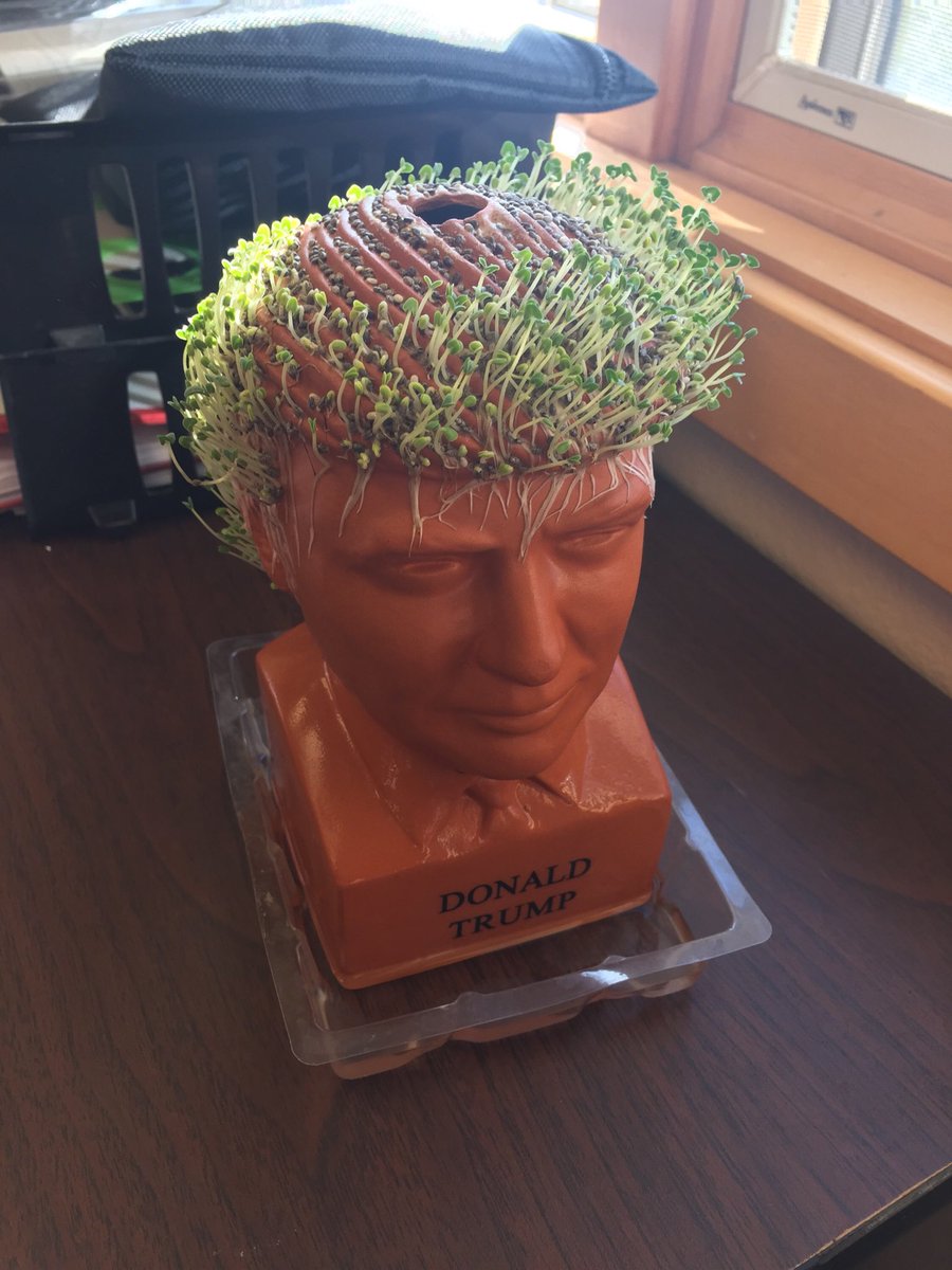 CallBilly2's tweet image. Cha-Cha-Cha #Trump successful sales calls #artofthedeal