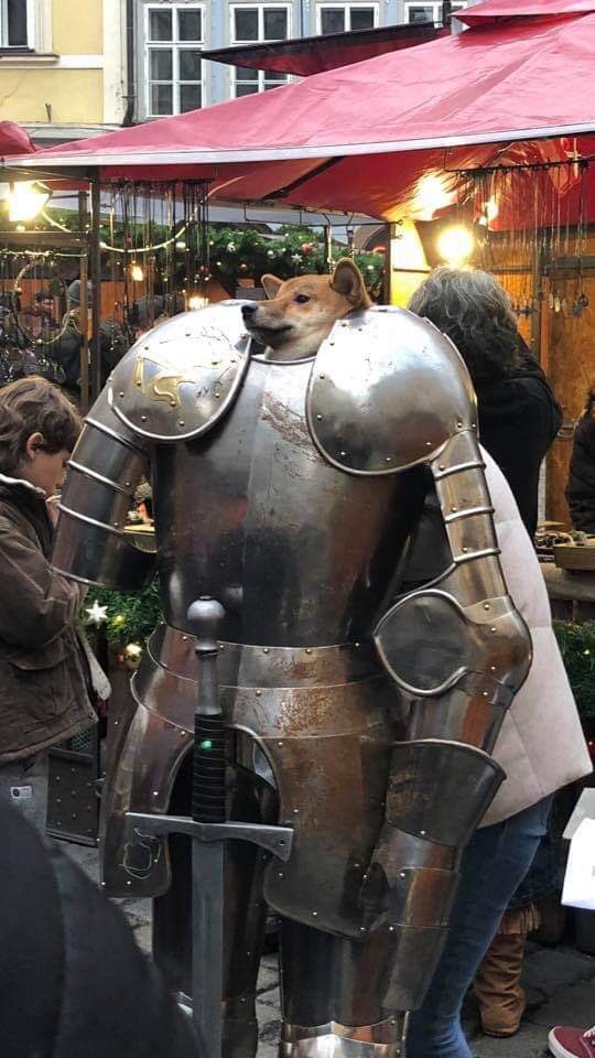 atom rpg dog armor atom rpg dog armor