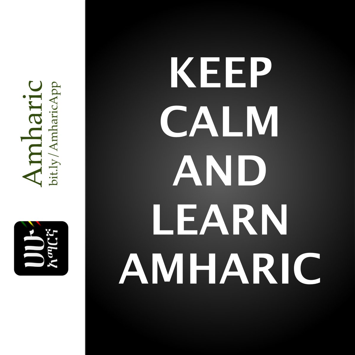 Image result for amharic