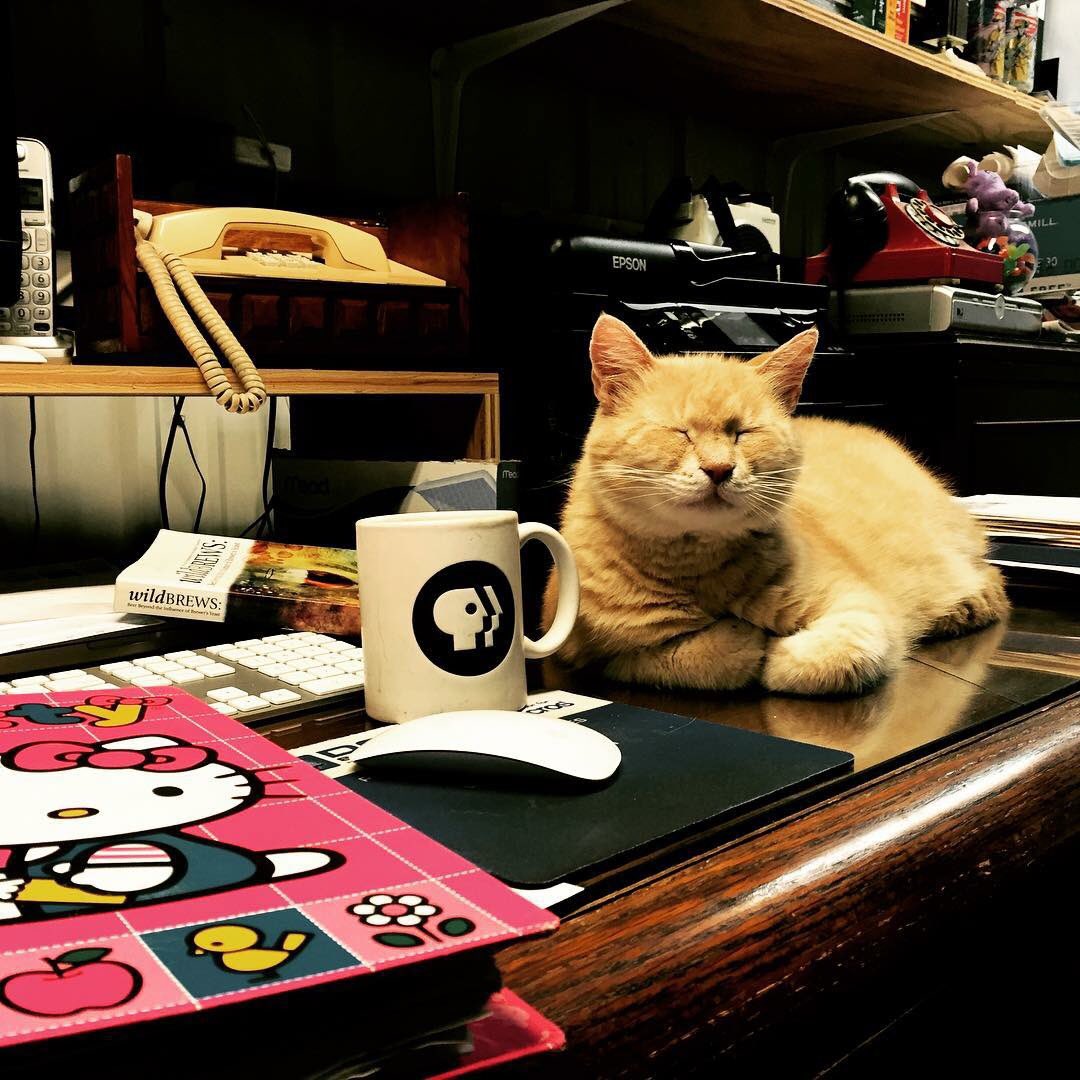 2nd Shift Brewing tweet media