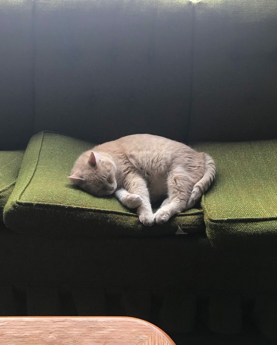 2nd Shift Brewing tweet media