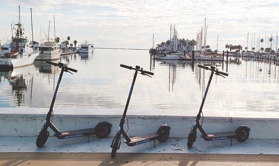 CCBusinessNews's tweet photo. Blue Duck Scooters offering free rides through January. https://t.co/XvUzpsE62N @BlueDuckScooter @limebike @BirdRide @cityofcc @UnitedCCChamber @CCREDCTX #blueduckscooters #docklessscooters #corpuschristiride https://t.co/6WN1z9mu5G