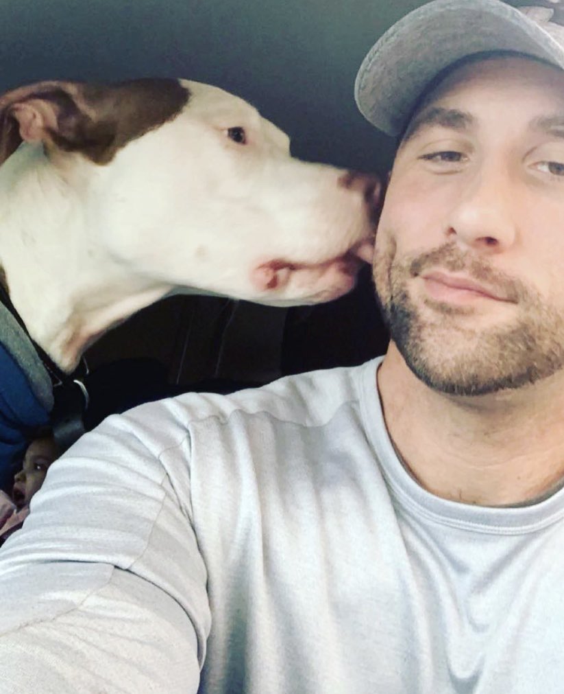 MckainSean's tweet photo. #pitbull #dogs #family #dimples #malefitnessmodel https://t.co/mlkqcBJXh5