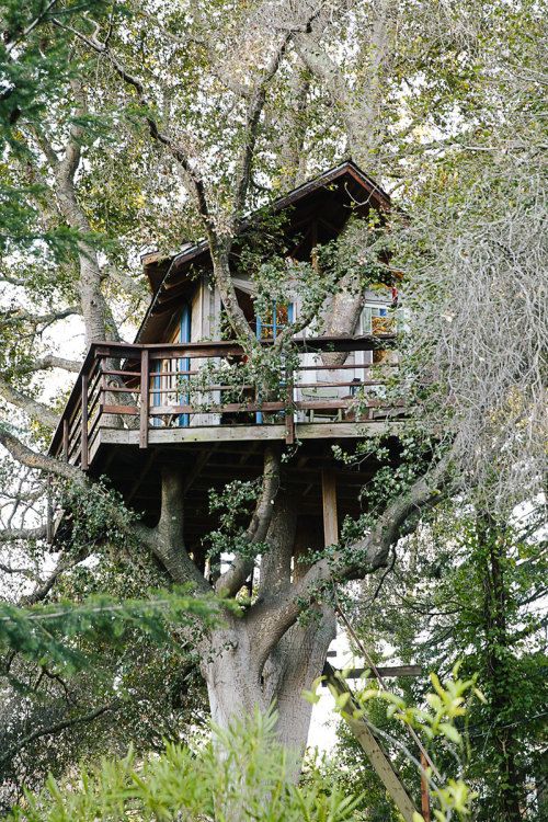 vermelho2016's tweet photo. Treehouse:
https://t.co/aOByyVkf1s
ππ₯°ππΊπΈπ¨ββ€οΈβπβπ¨π
If you like this, be sure to follow me on Youtube. Thank you so much for watching!
#treehouse #tinyhouse #tinyhouseinside https://t.co/vfge4xwChC