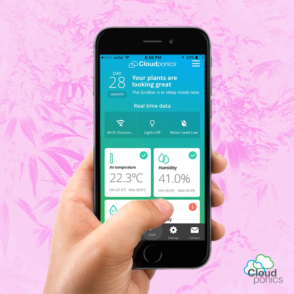 cloudponics's tweet image. Fully AUTOMATE your CANNABIS grow room or grow tent. LINK in BIO
•
#Cloudponics #hydroponicsystem