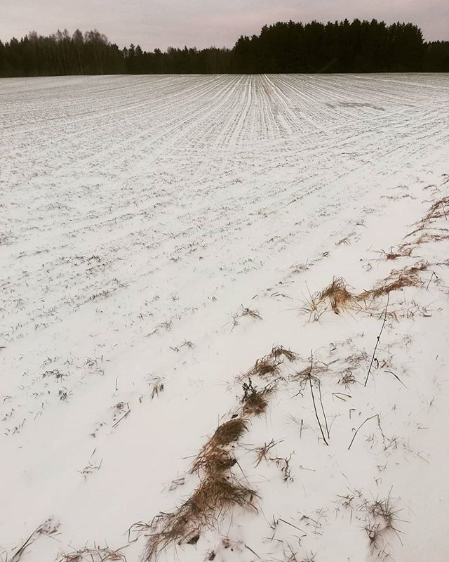 giena's tweet photo. Winter's lines
#winter #winterlandscape #snow #white #flaneur #justwalking #docunentary #landscape #lithuania #panudziai #palendriai #abstract #lietuva https://t.co/nWG69aCU5r https://t.co/MwY8PzodzM