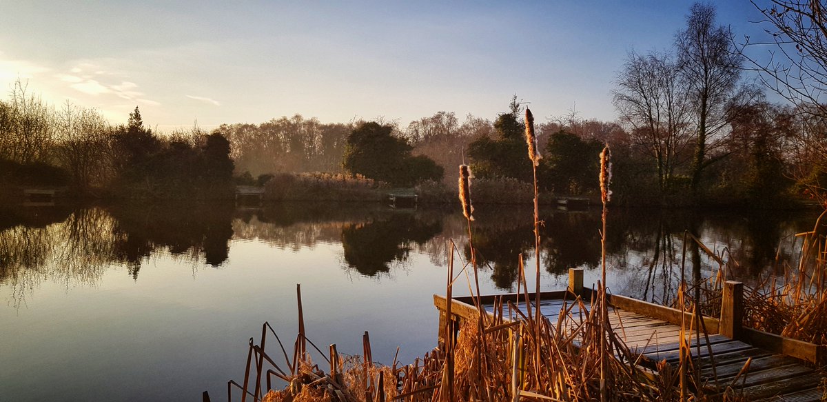 TelfordWrekin's tweet image. Time for a stroll? Dawley Pools and Pit Mounds was officially adopted by Telford &amp;amp; Wrekin Council at its cabinet meeting last night (Jan 3), adding a further 38 hectares of protected green space to Telford.
newsroom.telford.gov.uk/News/Details/1…