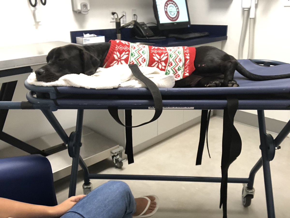 zerlainecybelle's tweet photo. @brokehisankle waiting to get an x-ray https://t.co/nZ2MAlpqQ0