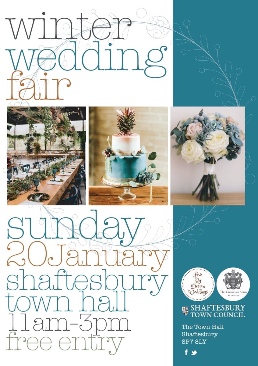 HedgehogVideo tweet media