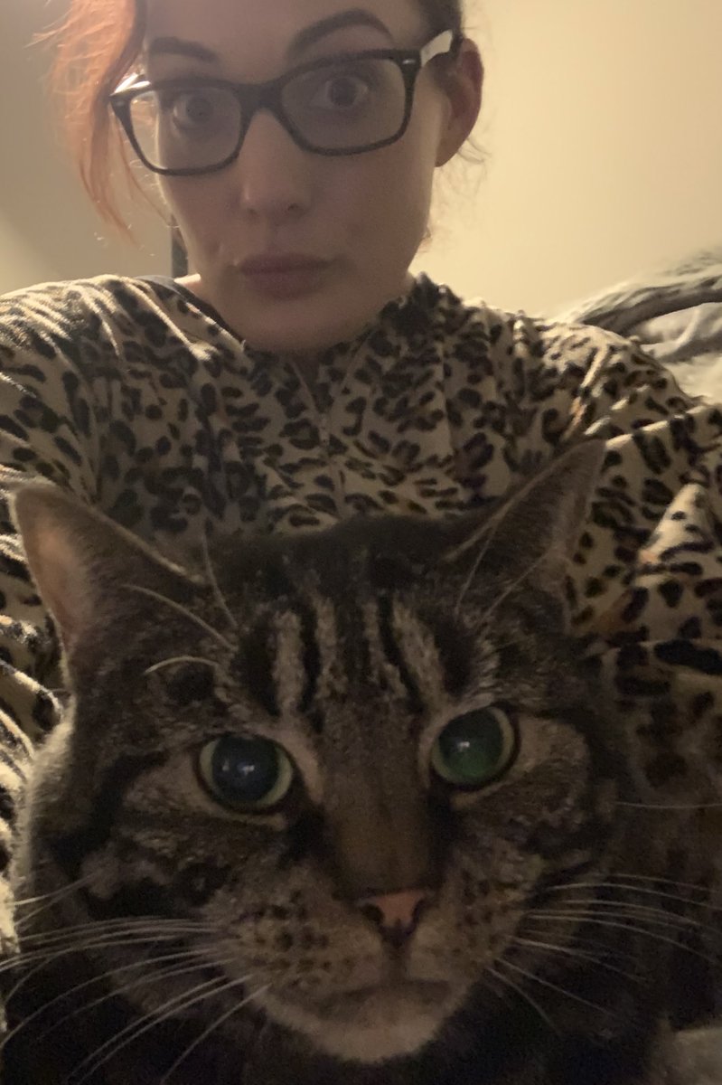 RoxyTheTabby's tweet photo. I took a selfie coz I look hawt. Mummy ruined it with her silly human face. It doesn’t even have whiskers 😼 #cat #catselfie #selfie #meow #CatsofTwitter #catstakingpics https://t.co/Kbgp7jJr8M
