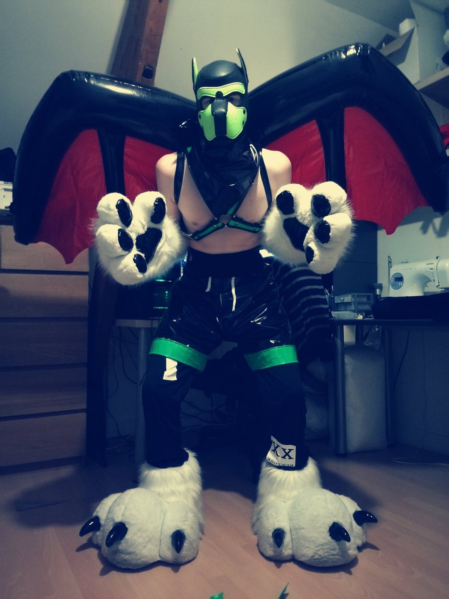 WolfBat ? Dogdragon? Evilpup ? Nah... Don't be scared I'm not dangerous :3 
I just want play with you 💕❤️