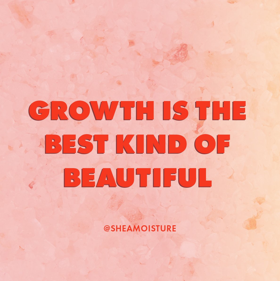 SheaMoisture's tweet photo. #Growth is more than length checks, it’s a mindset. Keep your mind focused on growing, even in failure, because when you know better, you do better. #Facts #SheaMotivation https://t.co/z5S3p8pUhl