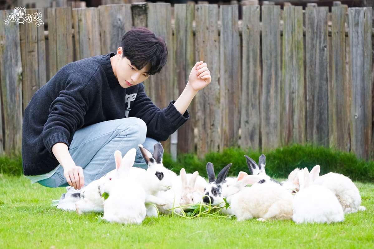 godlinongs's tweet photo. rabbit with rabbits❤️ https://t.co/7Y9HsDsaaq