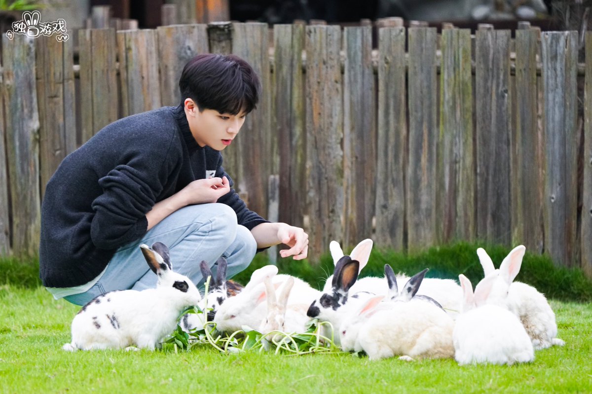 godlinongs's tweet photo. rabbit with rabbits❤️ https://t.co/7Y9HsDsaaq