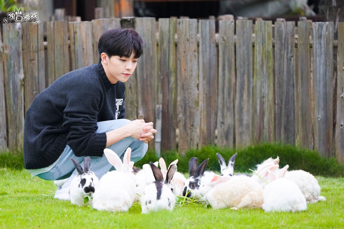 godlinongs's tweet photo. rabbit with rabbits❤️ https://t.co/7Y9HsDsaaq