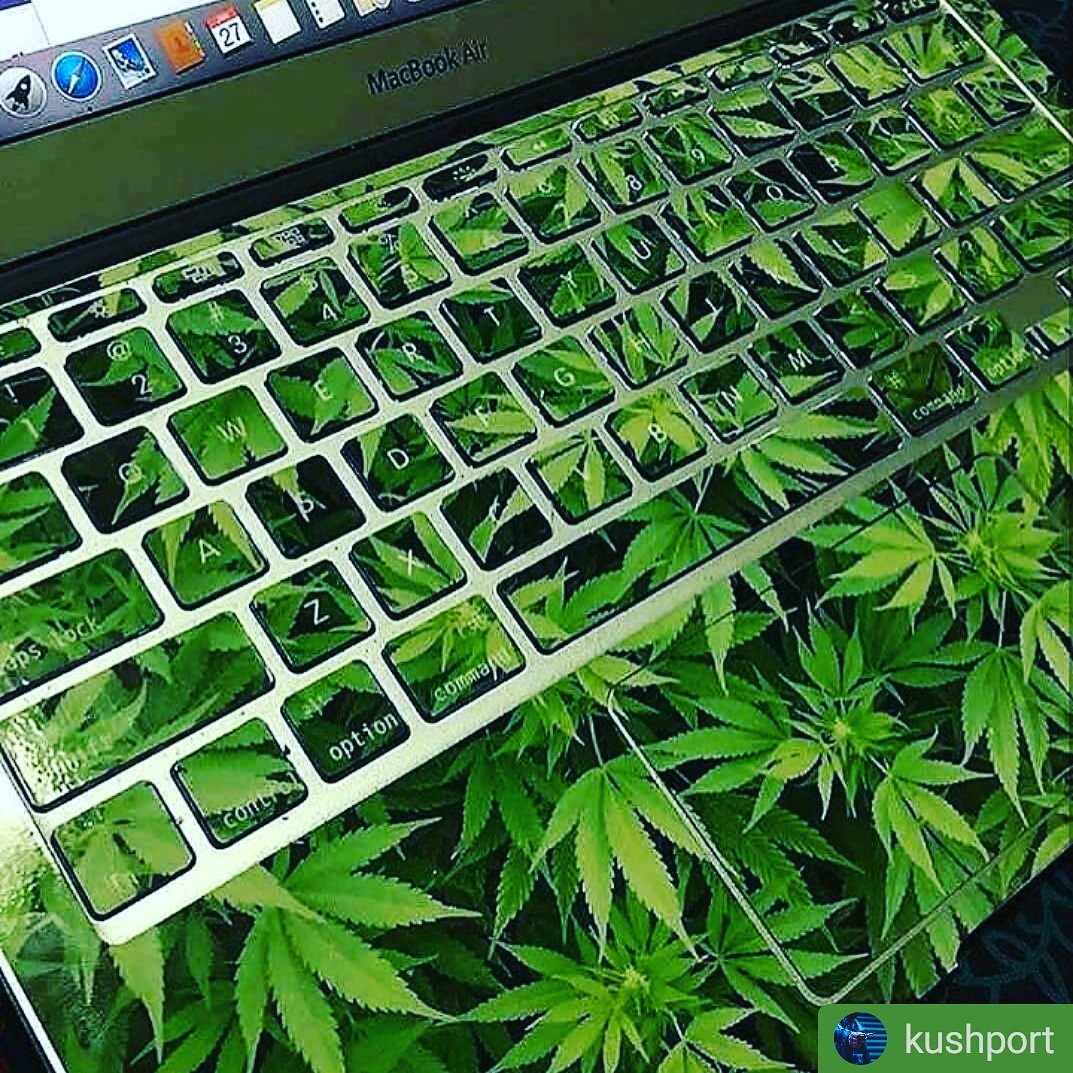 WallyOwi30's tweet image. Mmhm 🐸
#Repost @kushport
• •
Double Tap if you love this😍 | 📸 Credit: @thiscannabis | Tag Someone👇
#codingnews #csharp #madewithunity #madewithunity3d #gamedevelopers #gamedev #indiegamedevelopers #indiegamedeveloper #indiegame #indiedev #cannabis #dispensaries #keyboards