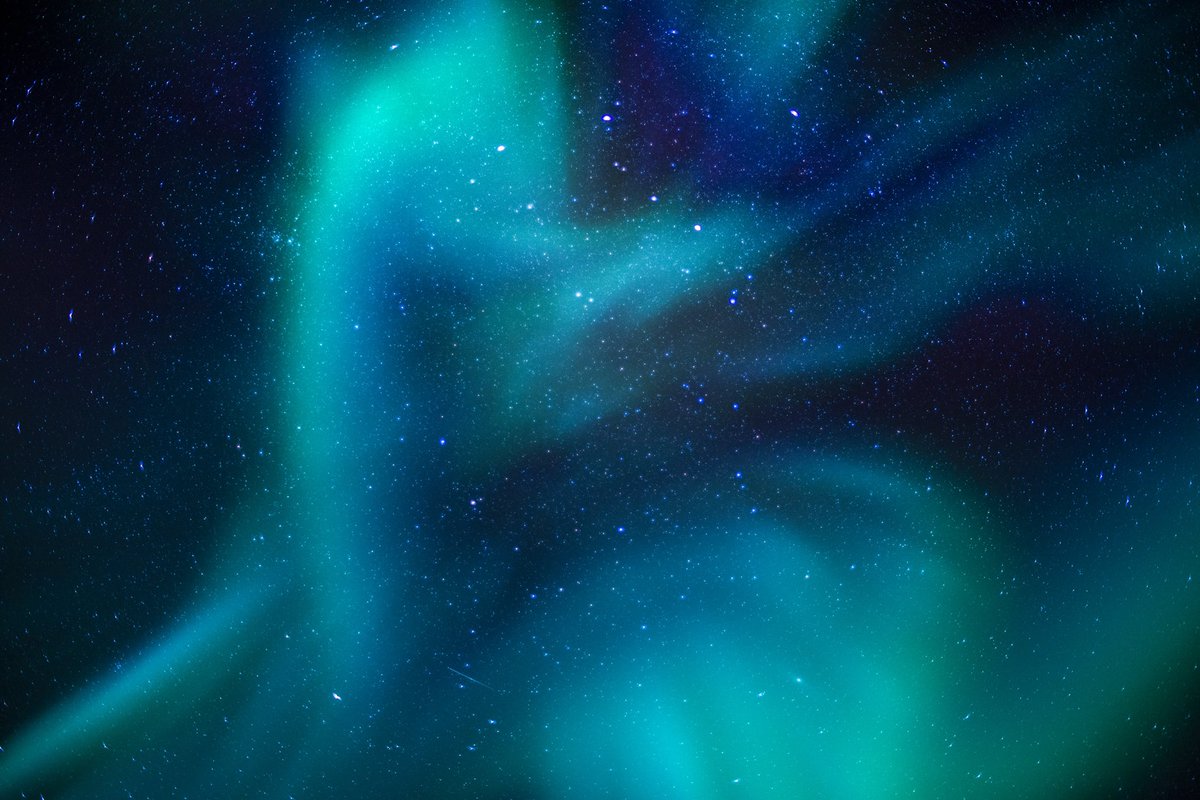 blachfordlodge's tweet photo. Our night sky? Or magical, mystical creature? 🔮🌌
📷 @frenchinrockies
#thisisblachford #greatnorthcollective #wildernesslodge #aurora #auroraborealis #northerights #skyporn #travelpix #keepexploring #canadiancollective #canadiancreatives #natgeo #natgeotravel #wildernessculture https://t.co/DYHzBPsOrM