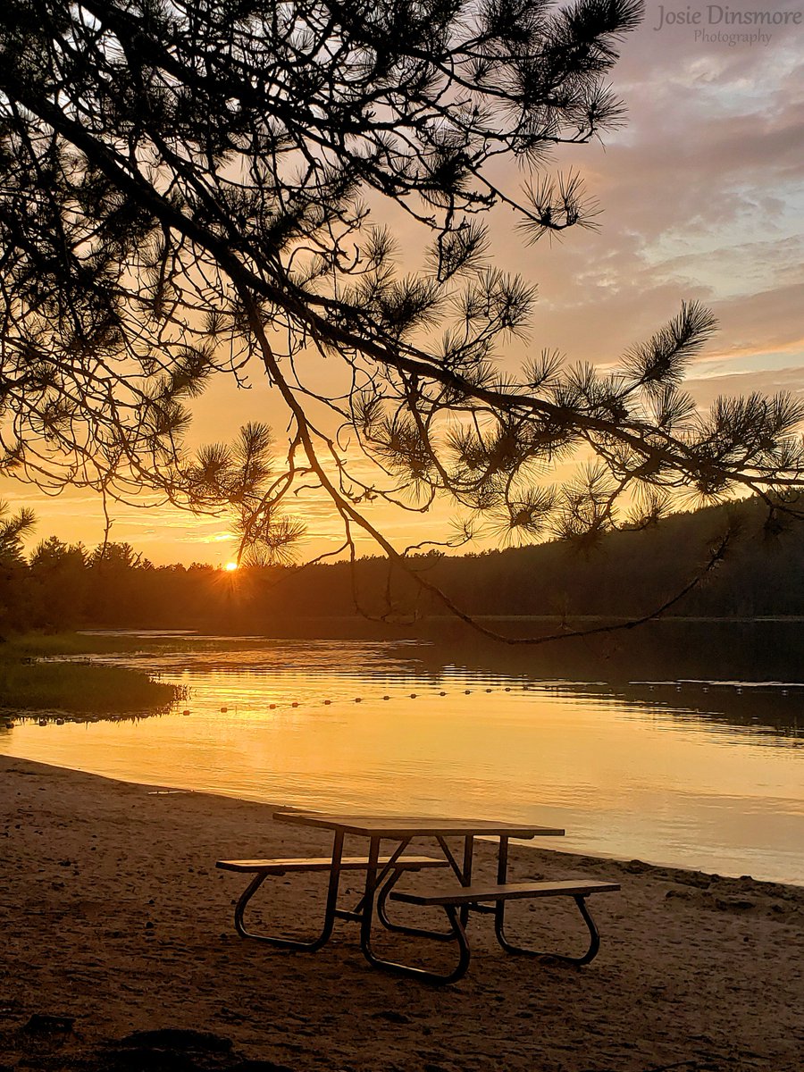 Josie_Dinsmore's tweet photo. It's been cold and snowy in Northern Ontario lately! Sure is a lot different than it was when I took this Throwback Thursday photo, during a hot Summer night at Moore Lake @SamdeChamPP!

#summer #sunset #lake #beach #trees #nature #beautiful #getoutside #ThrowbackThursday #OP125 https://t.co/MIVONoDt75