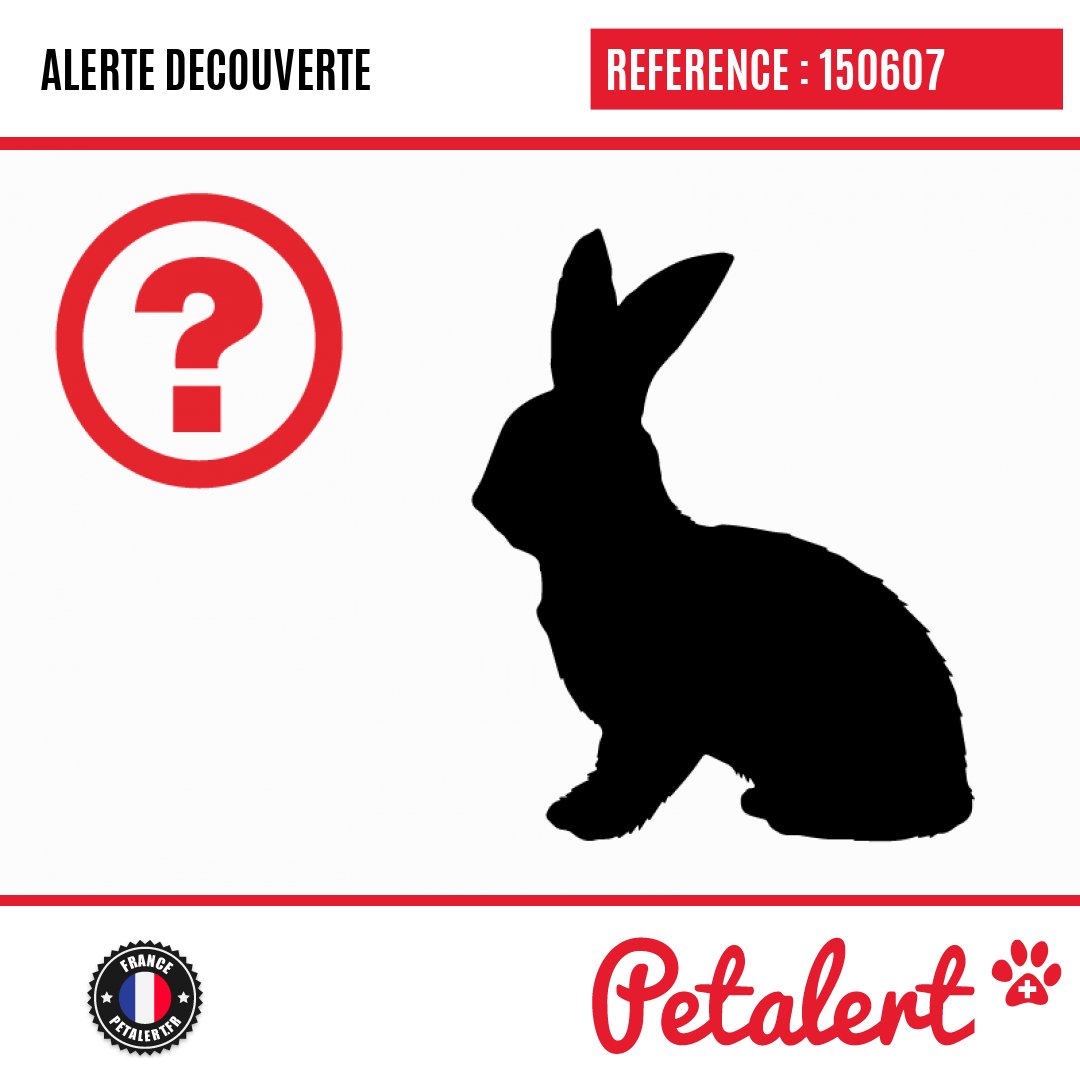 Trouvé #Lapin #Rhone #PorteDesPierresDorees #Petalert  #PetAlert69 / p3t.co/CjvdA