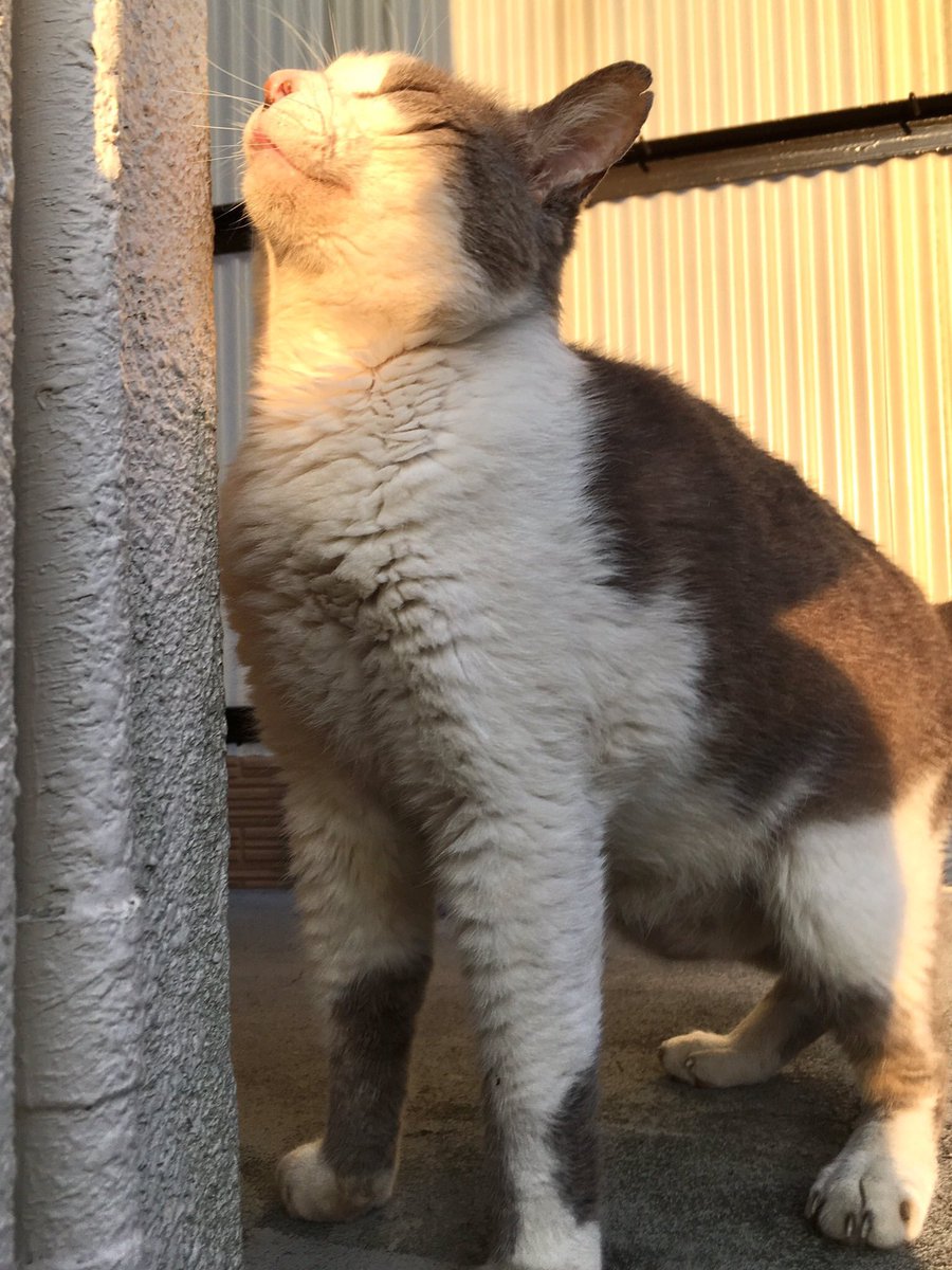 なかのひと的な2 tweet media