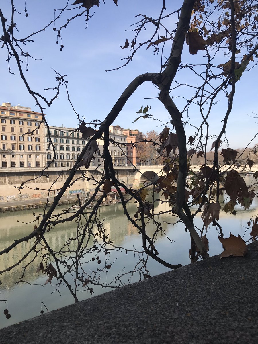 jesse76393017's tweet photo. Rome https://t.co/i6alcmqQE7
