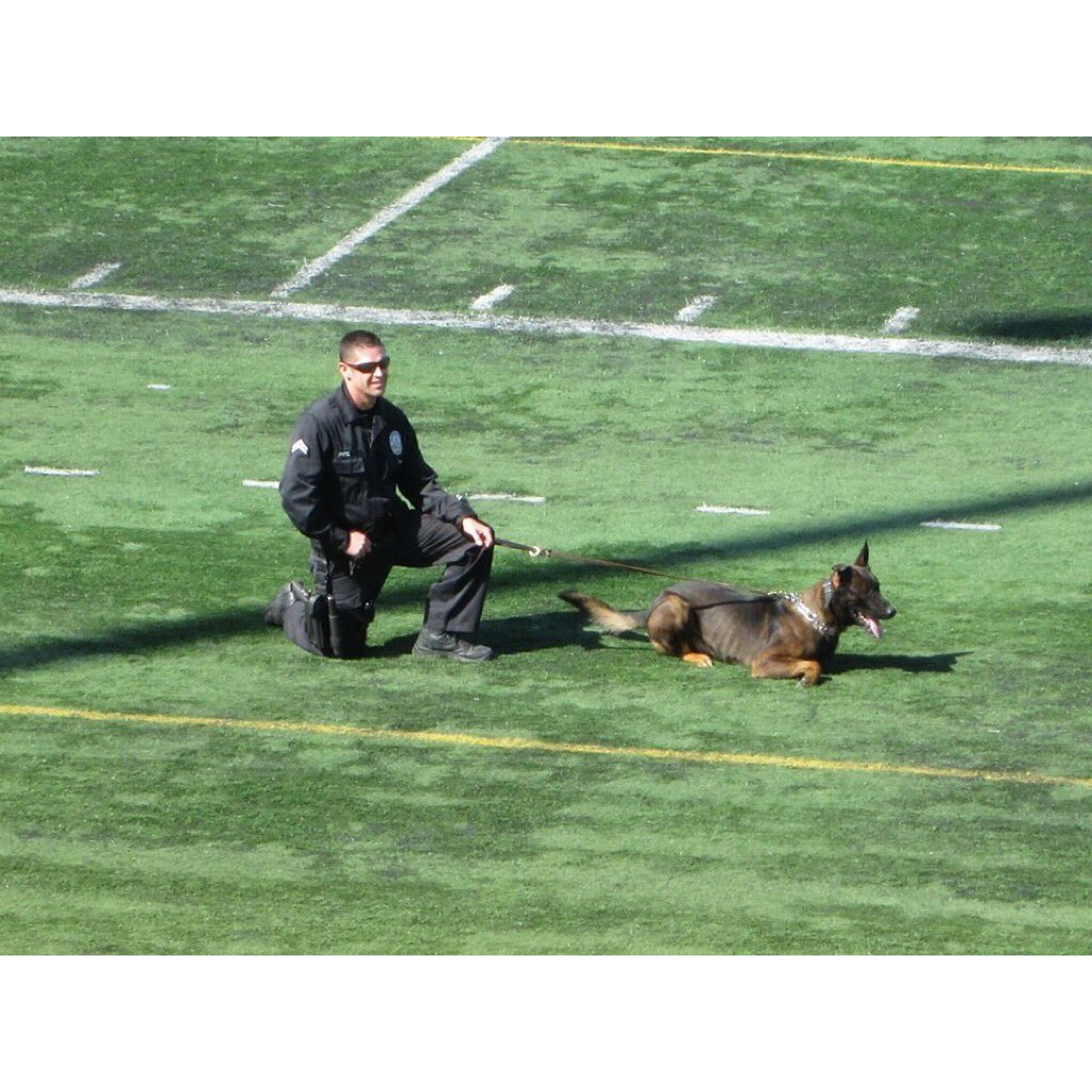TheK9Fund's tweet photo. #TBT When now retired K9 Jori won the 2014 LACPCA tough dog competition. We could not be more proud. Great work by a great team! #LAPDK9 #Youcanrunbutyoucanthide #K9Fund #ThrowbackThursday https://t.co/OE2gpN5N8k