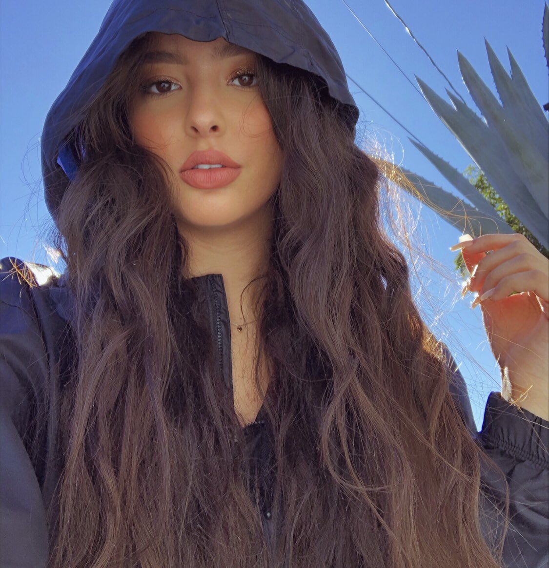 faouzia's tweet photo. “This Mountain” hit over a million views on YouTube and I’m absolutely stoked. https://t.co/227UgYQgS5
