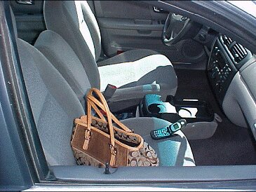 Thefts from vehicles continue to be a problem in Central Division. The majority of thefts are occurring in vehicles that have been left unlocked and vehicles with personal property in plain sight. Take precautionary measures to minimize your chances of becoming  a victim.