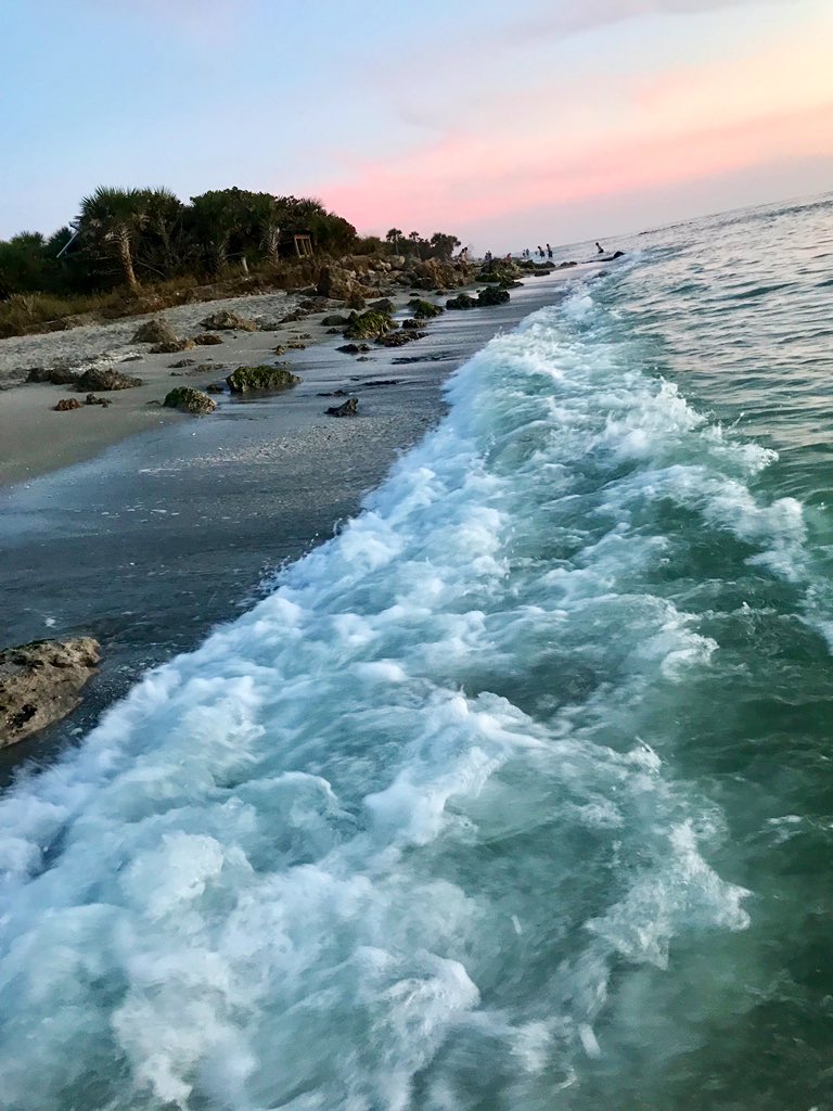 CruisersComfy's tweet photo. #ComfyCruisers #sharktooth #hunting #caspersen #beach #sunset #CLpicks @VeniceFla #LoveFL @VisitSarasota @VISITFLORIDA https://t.co/tJIm8UIbcc