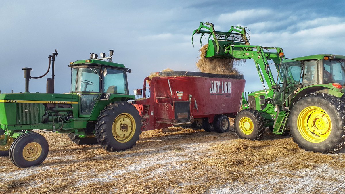 herefordcows's tweet photo. My holidays (meaning my boys and husband are around to help feed) are almost over so I was getting schooled on the #newtous #feedwagon.  We've always just fed with our bale pro but we decided to change things up. #themoocrew seems to love it! #ranchchores #feedingcows #ranchlife https://t.co/vSvt5tHnQD