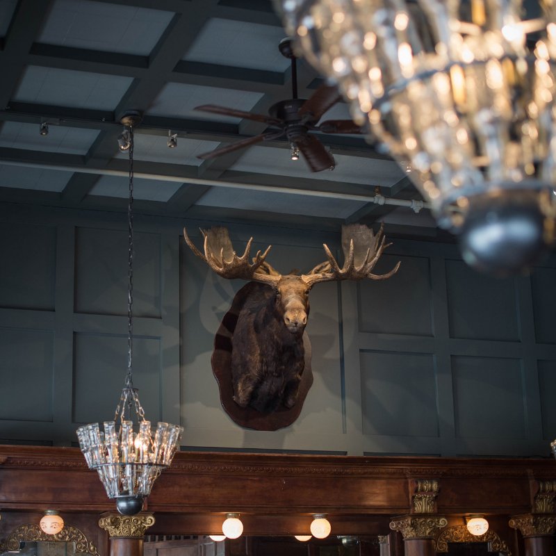 TheCornerBar303's tweet photo. It's no moostake! Our New Year's resolutions include laughing more with friends over great food. https://t.co/DUv2ek5oIT