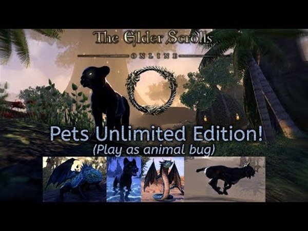 ESO_RNGless's tweet photo. Elder Scrolls Online Recent Discussions:
📜 ESO Pets Unlimited Edition! (Play as animal bug) 
⌛ Posted by (Glaiceana) | Thu, 03 Jan 2019 10:13:27 +00 .. 
➡️ https://t.co/ZdZ3p1gL2d ⬅️ https://t.co/IL8ABGH2fU