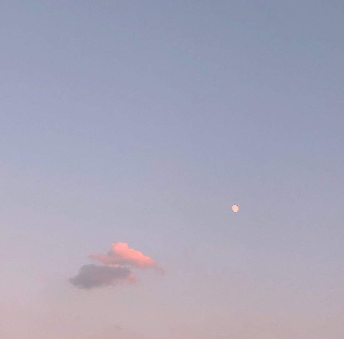 𝓈𝑜𝒻𝓉 𝓅𝒾𝓃𝓀 (@artksoft) on Twitter photo 