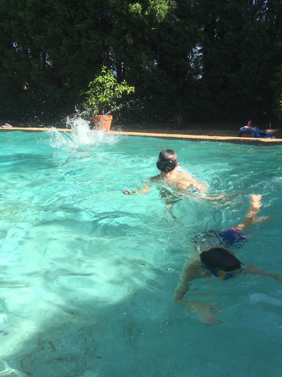 Permanently23's tweet photo. Good things about where we live: neighbours who let us use the pool whenever we like. Handy. Seeing as there is yet no genuine movement at the station following the demolition of the rather awesome #ParramattaPool #Icannevermove https://t.co/fekas2UMiS