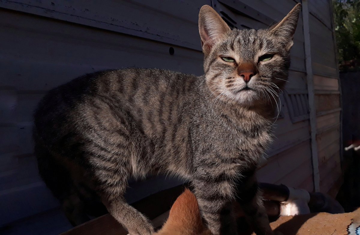 ay_cloud's tweet image. ia le dije k no me drogo, c ñor polizia