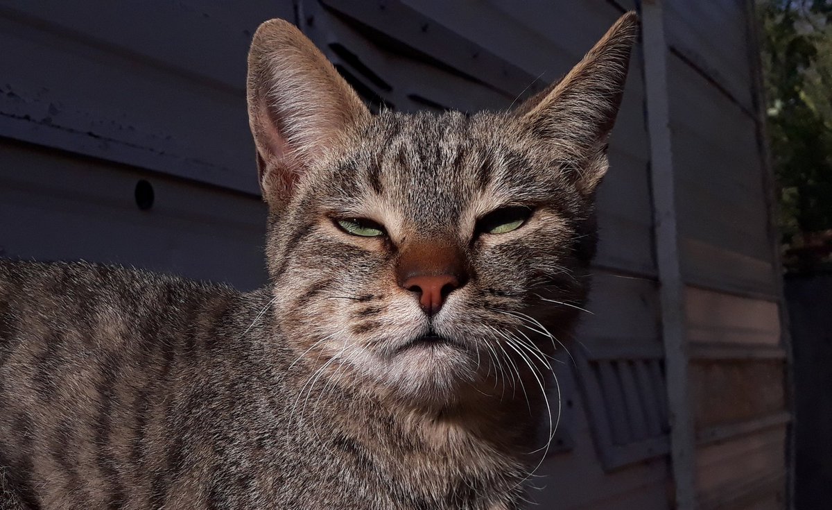 ay_cloud's tweet image. ia le dije k no me drogo, c ñor polizia