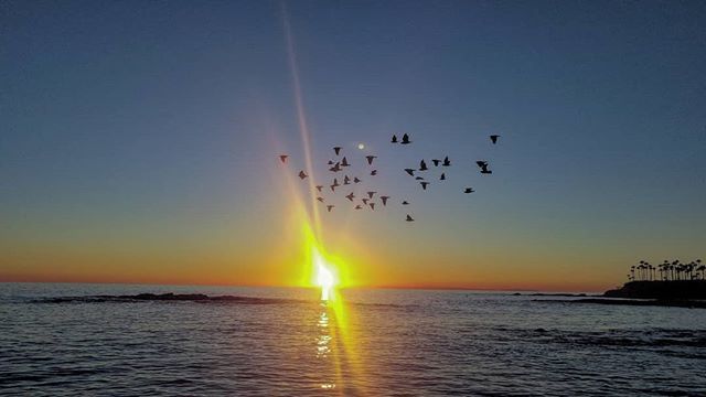LagunaBeachComm's tweet photo. I was out chasing #lagunabeach #sunsets tonight! .
.
Anyone interested in taking photos and videos of all Laguna's beaches and hidden spots. We know them all😁😁
We're going to meet weekly at different locations to shoot. DM if you'd like to join us. #lagunabeachcommunity #wel… https://t.co/ZgGeYe0k9b
